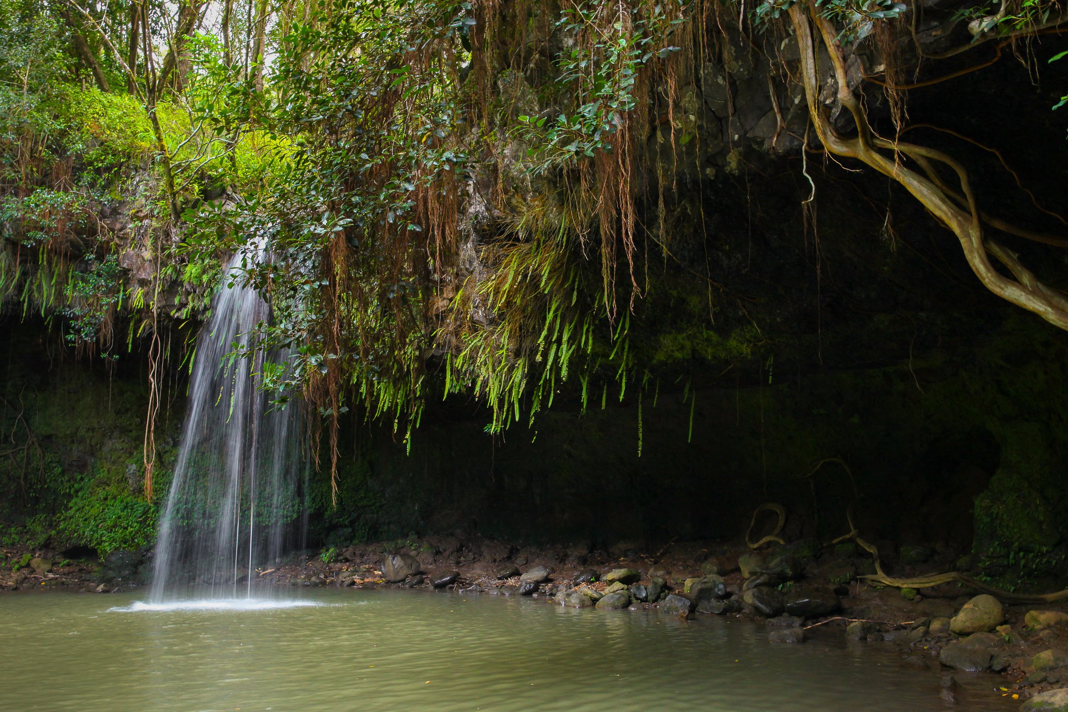 Twin Falls Maui, Hawaii