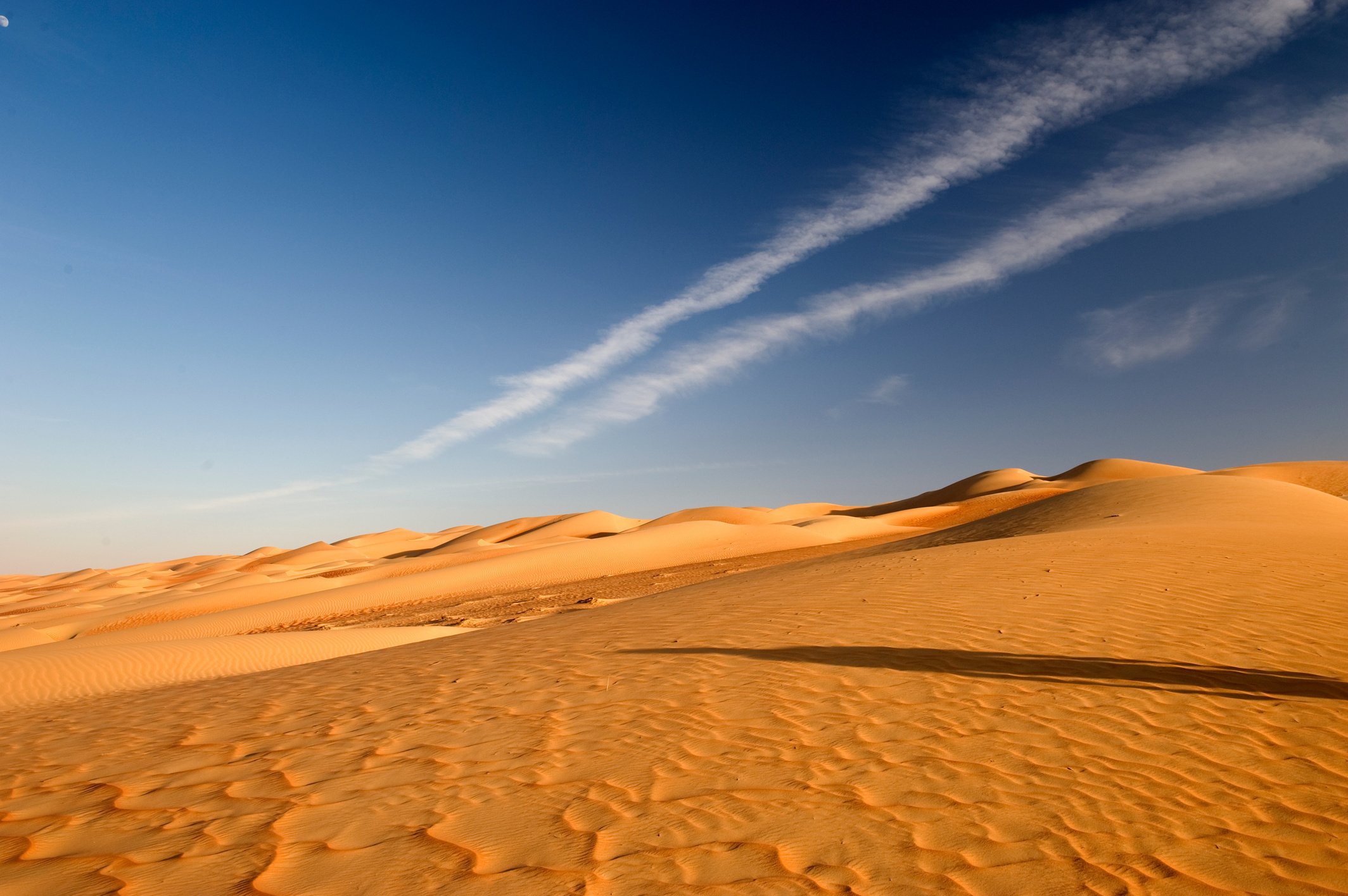 Abu Dhabi desert